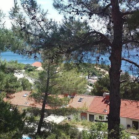 Apartmán Radic