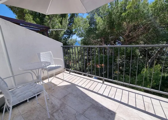 Radic * Мартиншчица