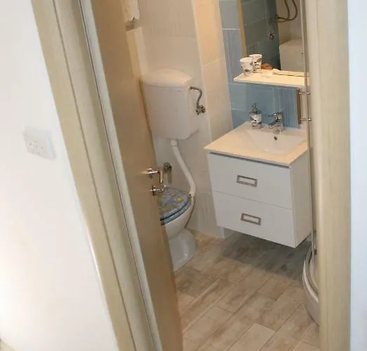 Radic Мартиншчица